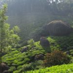 Die Wanderung in Munnar zeigte uns tolle Naturschauspiele, etwa diese Felsen in der Teeplantage