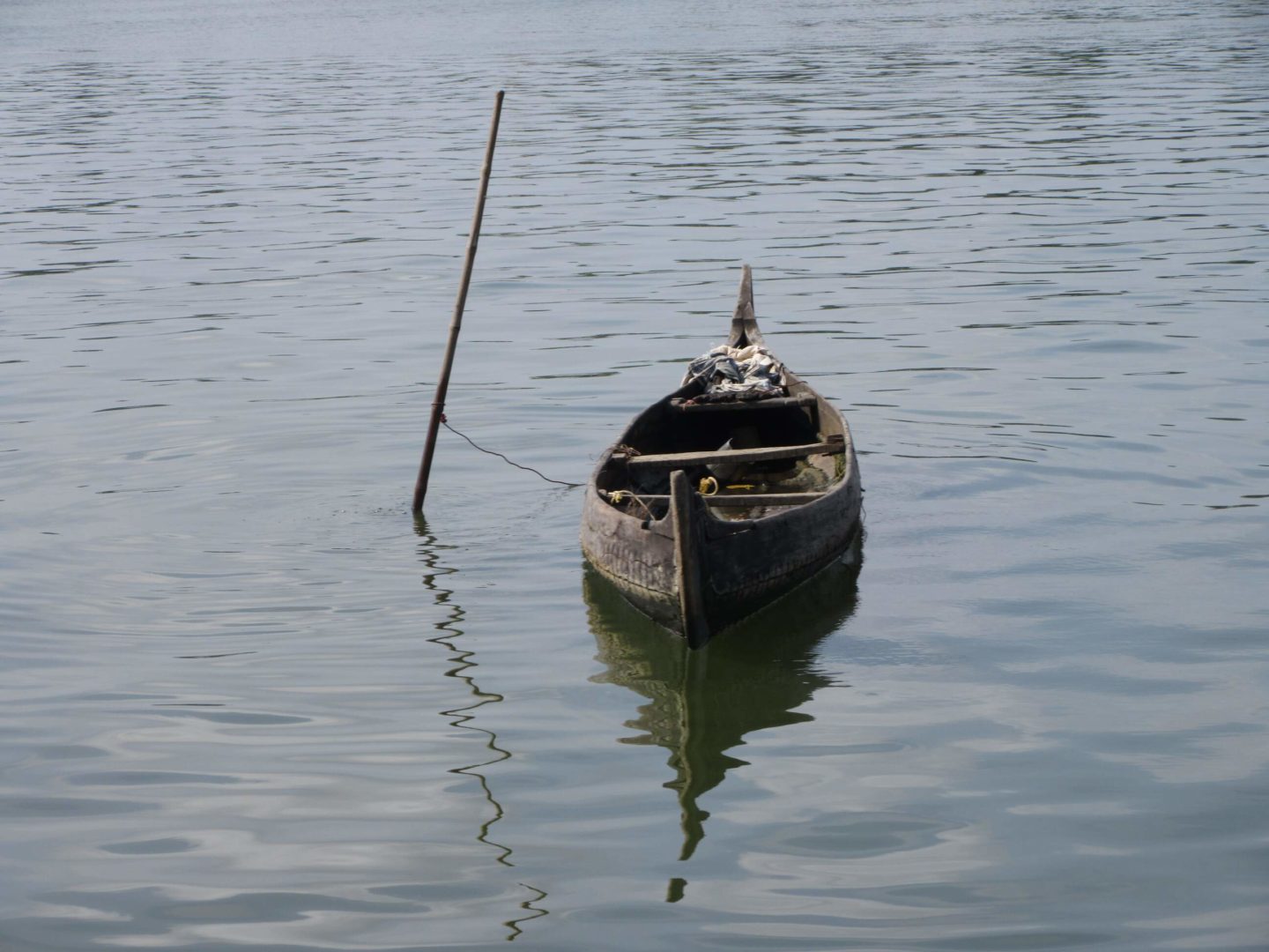 Viele Keralesen leben noch vom Fischfang