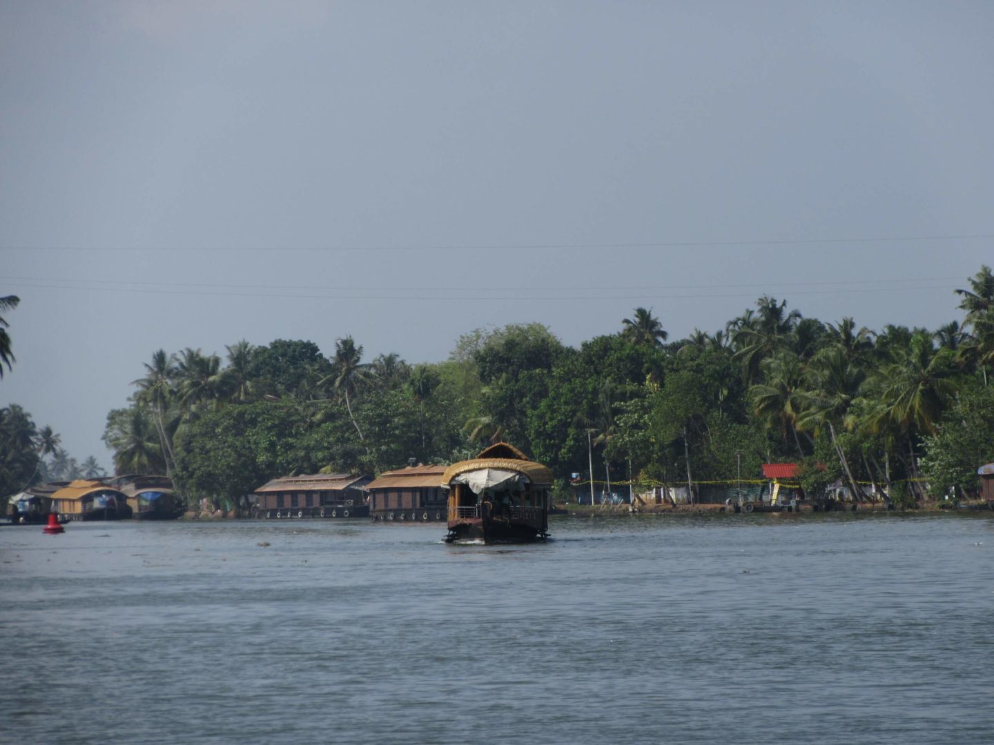 Riesige und kleine Kanäle durchziehen die Backwaters