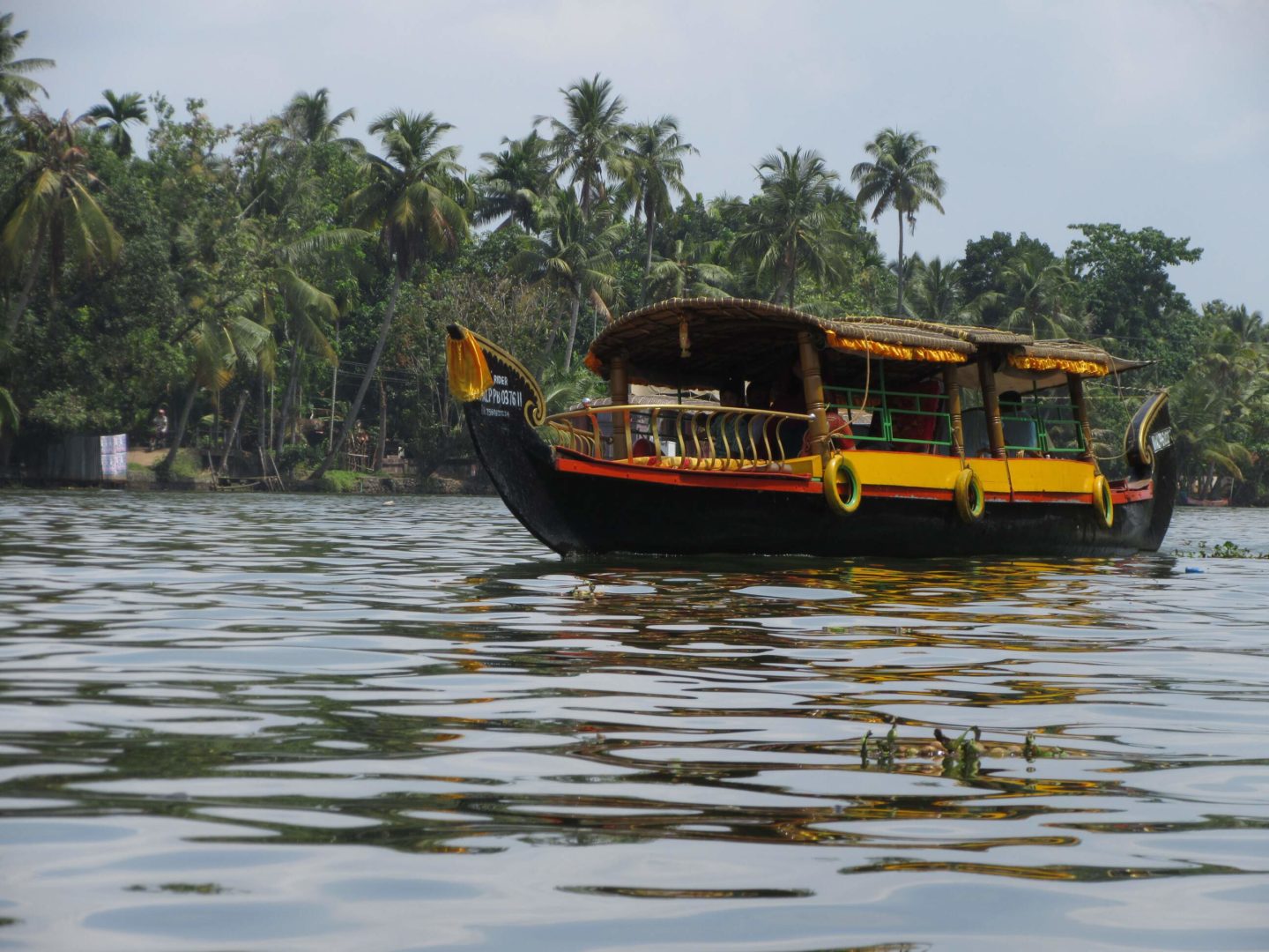 Unterschiedliche Boote sind in den Backwaters unterwegs: Wasserbusse, Fischer, Hausboote